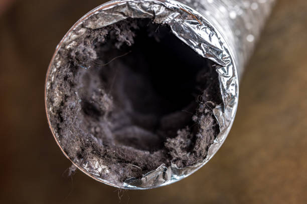 Best Best Air Duct Cleaning Near Me  in Sylacauga, AL
