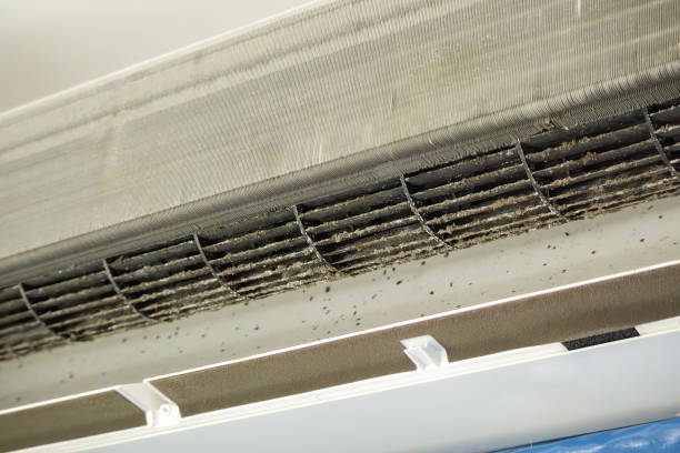 Best Affordable Duct Cleaning Services  in Sylacauga, AL